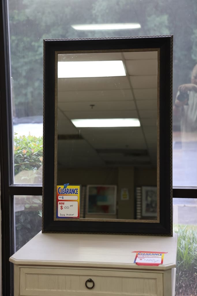 Rectangular Wall Mirror — Dark Bronze Ornate Frame